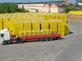 Газобетонный блок Istkult D600 625x200x250 Фото 5